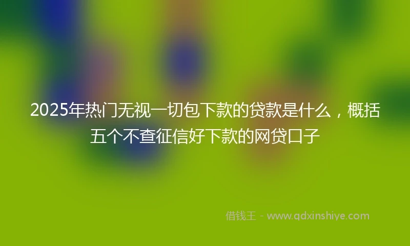2025年热门无视一切包下款的贷款是什么，概括五个不查征信好下款的网贷口子