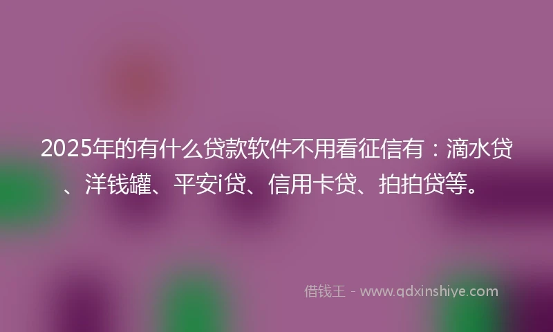 2025年的有什么贷款软件不用看征信有：滴水贷、洋钱罐、平安i贷、信用卡贷、拍拍贷等。