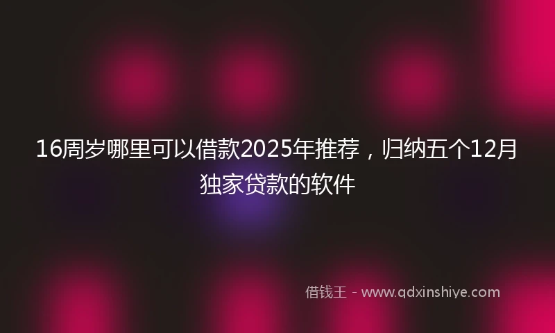 16周岁哪里可以借款2025年推荐，归纳五个12月独家贷款的软件