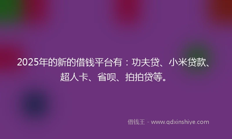 2025年的新的借钱平台有：功夫贷、小米贷款、超人卡、省呗、拍拍贷等。