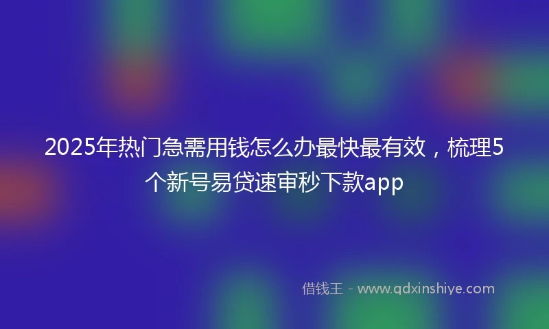 2025年热门急需用钱怎么办最快最有效，梳理5个新号易贷速审秒下款app