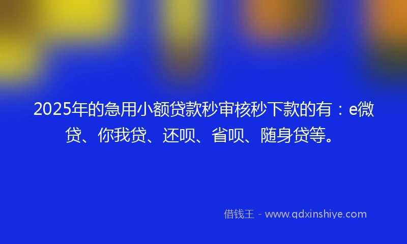 2025年的急用小额贷款秒审核秒下款的有：e微贷、你我贷、还呗、省呗、随身贷等。
