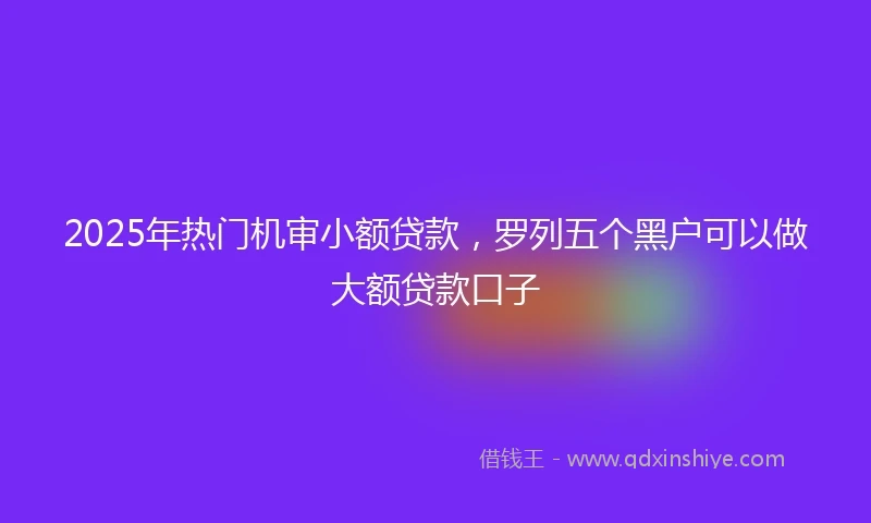 2025年热门机审小额贷款，罗列五个黑户可以做大额贷款口子