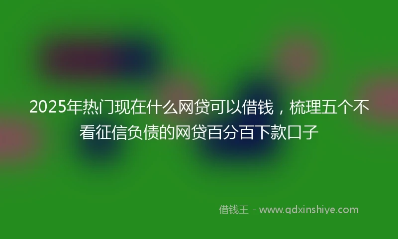 2025年热门现在什么网贷可以借钱，梳理五个不看征信负债的网贷百分百下款口子
