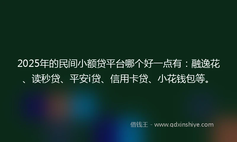 2025年的民间小额贷平台哪个好一点有：融逸花、读秒贷、平安i贷、信用卡贷、小花钱包等。