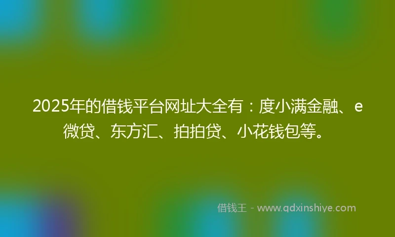 2025年的借钱平台网址大全有：度小满金融、e微贷、东方汇、拍拍贷、小花钱包等。
