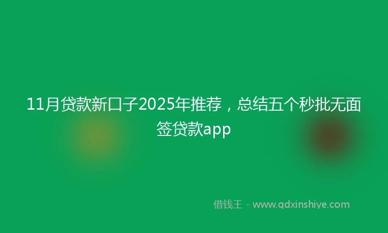 11月贷款新口子2025年推荐，总结五个秒批无面签贷款app