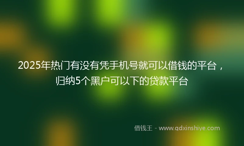 2025年热门有没有凭手机号就可以借钱的平台，归纳5个黑户可以下的贷款平台