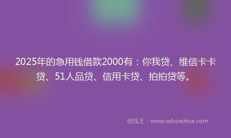 2025年的急用钱借款2000有：你我贷、维信卡卡贷、51人品贷、信用卡贷、拍拍贷等。