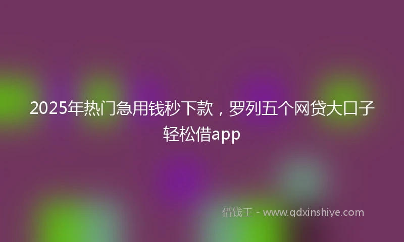2025年热门急用钱秒下款，罗列五个网贷大口子轻松借app