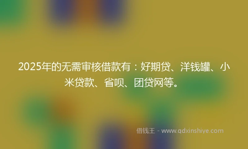 2025年的无需审核借款有：好期贷、洋钱罐、小米贷款、省呗、团贷网等。