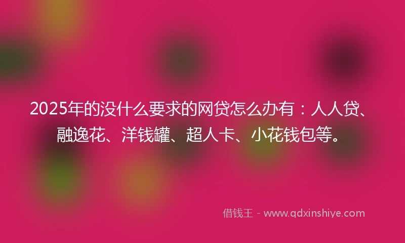 2025年的没什么要求的网贷怎么办有：人人贷、融逸花、洋钱罐、超人卡、小花钱包等。