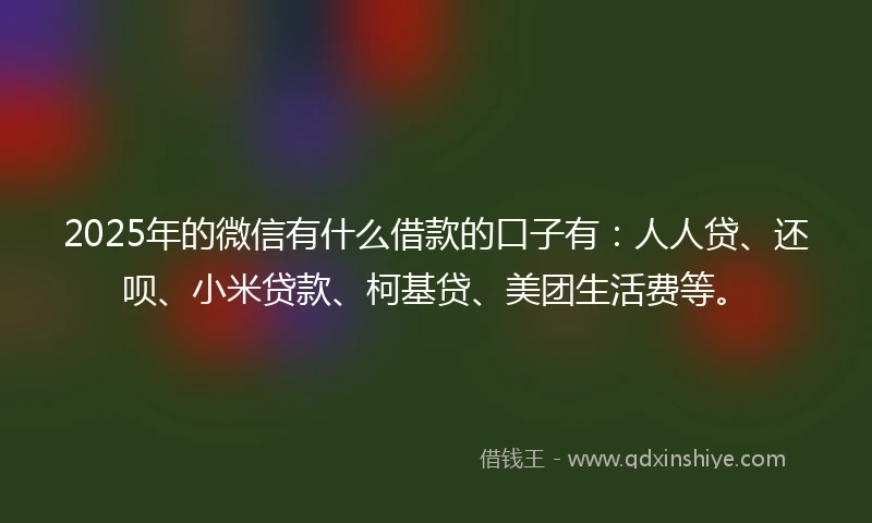 2025年的微信有什么借款的口子有：人人贷、还呗、小米贷款、柯基贷、美团生活费等。
