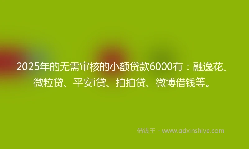 2025年的无需审核的小额贷款6000有：融逸花、微粒贷、平安i贷、拍拍贷、微博借钱等。
