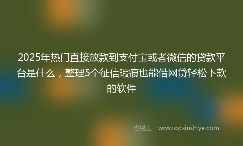 2025年热门直接放款到支付宝或者微信的贷款平台是什么，整理5个征信瑕疵也能借网贷轻松下款的软件