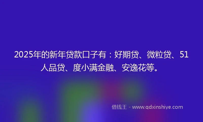 2025年的新年贷款口子有：好期贷、微粒贷、51人品贷、度小满金融、安逸花等。