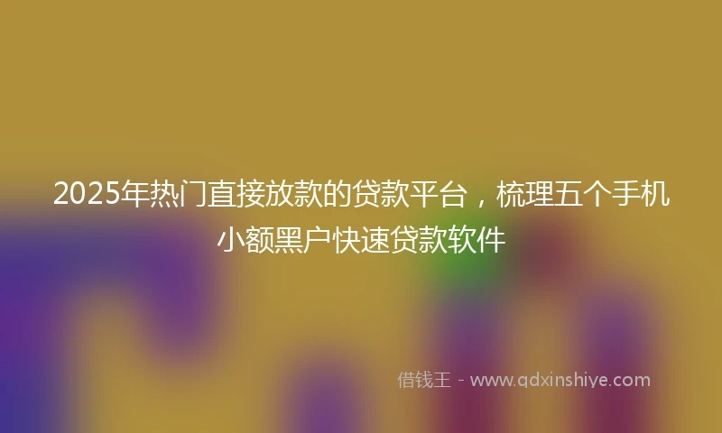 2025年热门直接放款的贷款平台，梳理五个手机小额黑户快速贷款软件