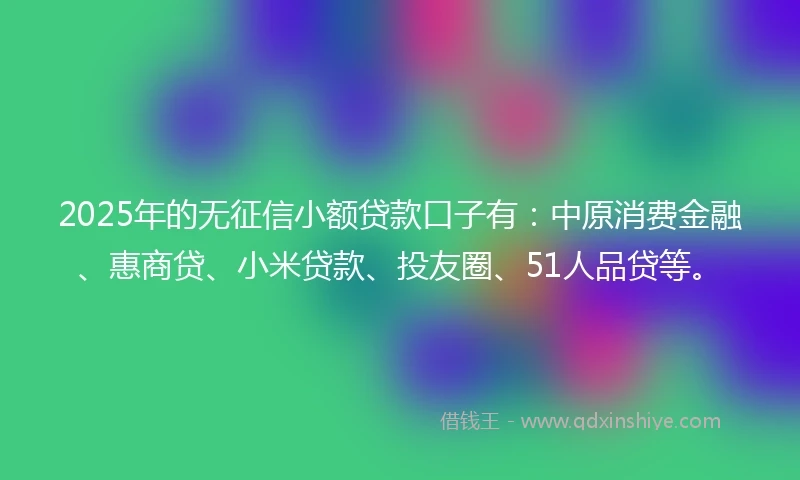 2025年的无征信小额贷款口子有：中原消费金融、惠商贷、小米贷款、投友圈、51人品贷等。