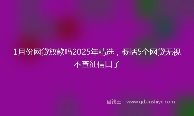 1月份网贷放款吗2025年精选，概括5个网贷无视不查征信口子