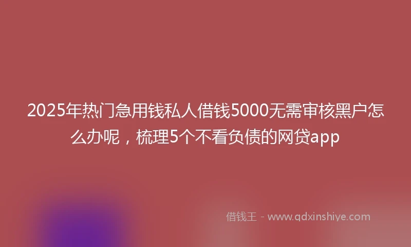2025年热门急用钱私人借钱5000无需审核黑户怎么办呢，梳理5个不看负债的网贷app