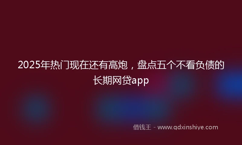 2025年热门现在还有高炮，盘点五个不看负债的长期网贷app