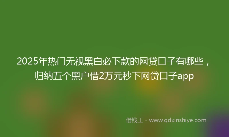2025年热门无视黑白必下款的网贷口子有哪些，归纳五个黑户借2万元秒下网贷口子app