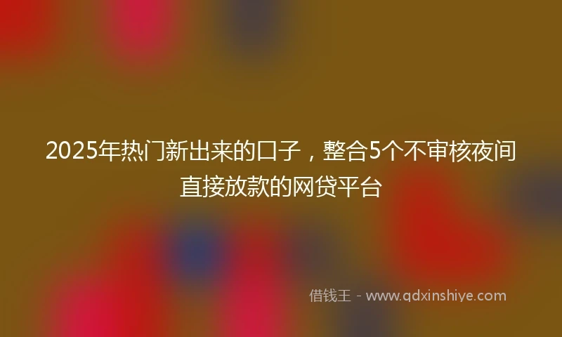 2025年热门新出来的口子，整合5个不审核夜间直接放款的网贷平台