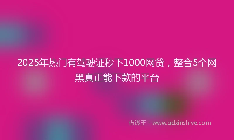 2025年热门有驾驶证秒下1000网贷，整合5个网黑真正能下款的平台
