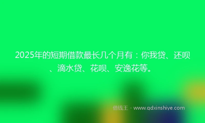 2025年的短期借款最长几个月有：你我贷、还呗、滴水贷、花呗、安逸花等。
