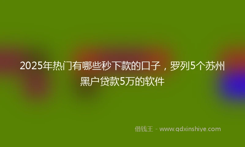 2025年热门有哪些秒下款的口子，罗列5个苏州黑户贷款5万的软件