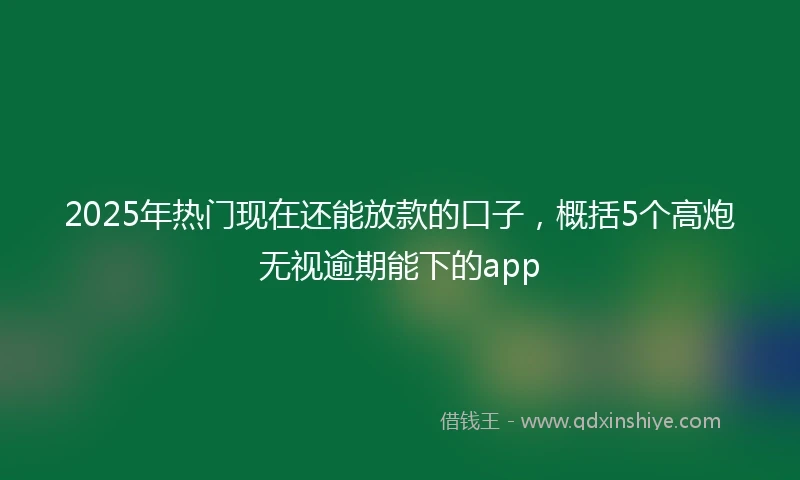 2025年热门现在还能放款的口子，概括5个高炮无视逾期能下的app
