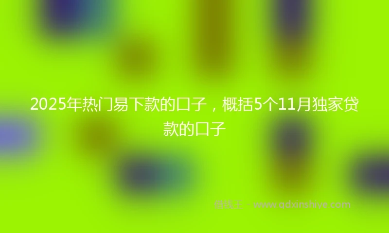 2025年热门易下款的口子，概括5个11月独家贷款的口子