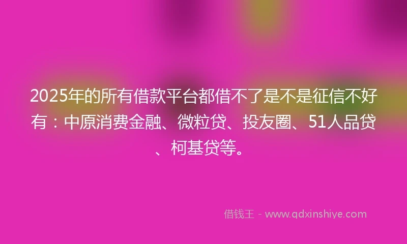 2025年的所有借款平台都借不了是不是征信不好有：中原消费金融、微粒贷、投友圈、51人品贷、柯基贷等。