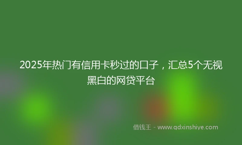 2025年热门有信用卡秒过的口子，汇总5个无视黑白的网贷平台