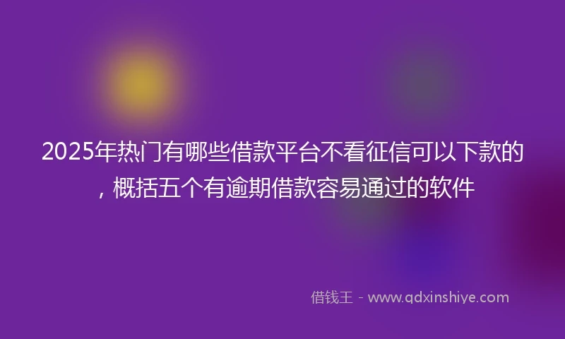 2025年热门有哪些借款平台不看征信可以下款的，概括五个有逾期借款容易通过的软件
