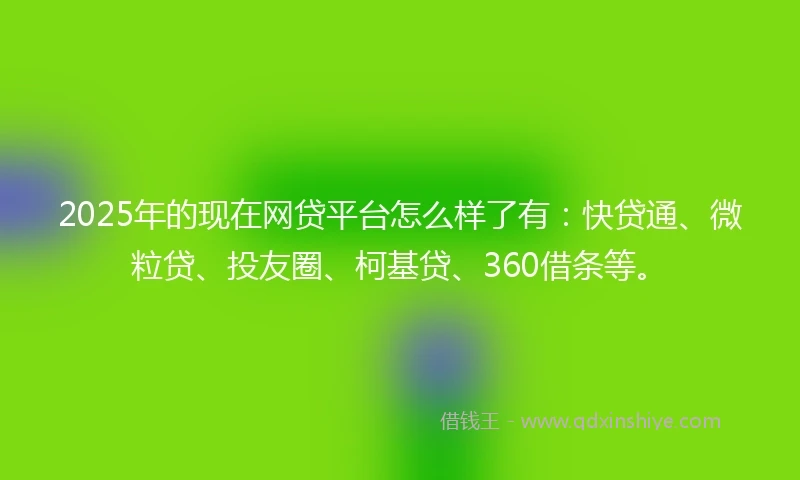 2025年的现在网贷平台怎么样了有：快贷通、微粒贷、投友圈、柯基贷、360借条等。