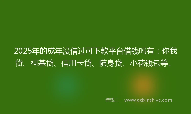 2025年的成年没借过可下款平台借钱吗有：你我贷、柯基贷、信用卡贷、随身贷、小花钱包等。