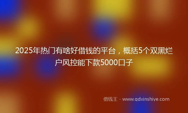 2025年热门有啥好借钱的平台，概括5个双黑烂户风控能下款5000口子