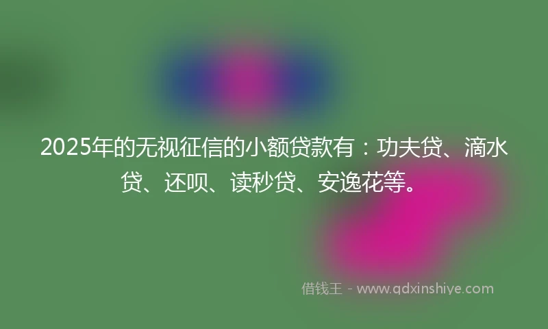 2025年的无视征信的小额贷款有：功夫贷、滴水贷、还呗、读秒贷、安逸花等。
