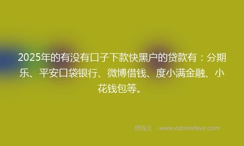 2025年的有没有口子下款快黑户的贷款有：分期乐、平安口袋银行、微博借钱、度小满金融、小花钱包等。