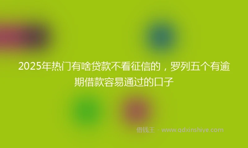 2025年热门有啥贷款不看征信的，罗列五个有逾期借款容易通过的口子