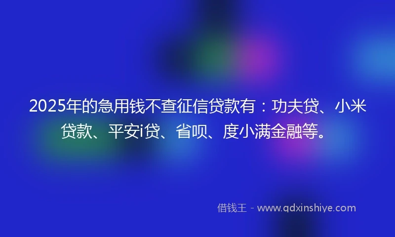 2025年的急用钱不查征信贷款有：功夫贷、小米贷款、平安i贷、省呗、度小满金融等。