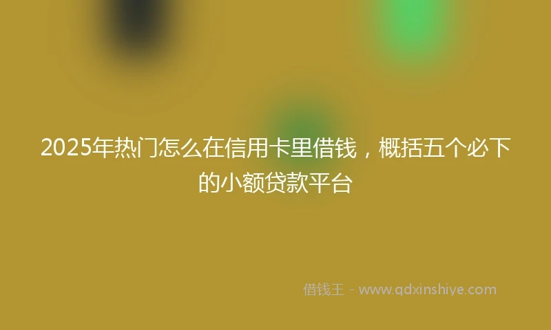2025年热门怎么在信用卡里借钱，概括五个必下的小额贷款平台