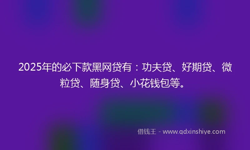 2025年的必下款黑网贷有：功夫贷、好期贷、微粒贷、随身贷、小花钱包等。