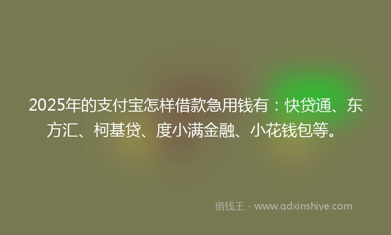2025年的支付宝怎样借款急用钱有：快贷通、东方汇、柯基贷、度小满金融、小花钱包等。