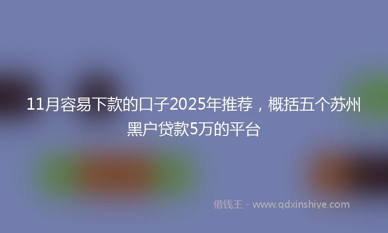 11月容易下款的口子2025年推荐，概括五个苏州黑户贷款5万的平台