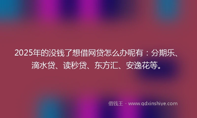2025年的没钱了想借网贷怎么办呢有：分期乐、滴水贷、读秒贷、东方汇、安逸花等。