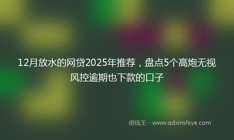 12月放水的网贷2025年推荐，盘点5个高炮无视风控逾期也下款的口子
