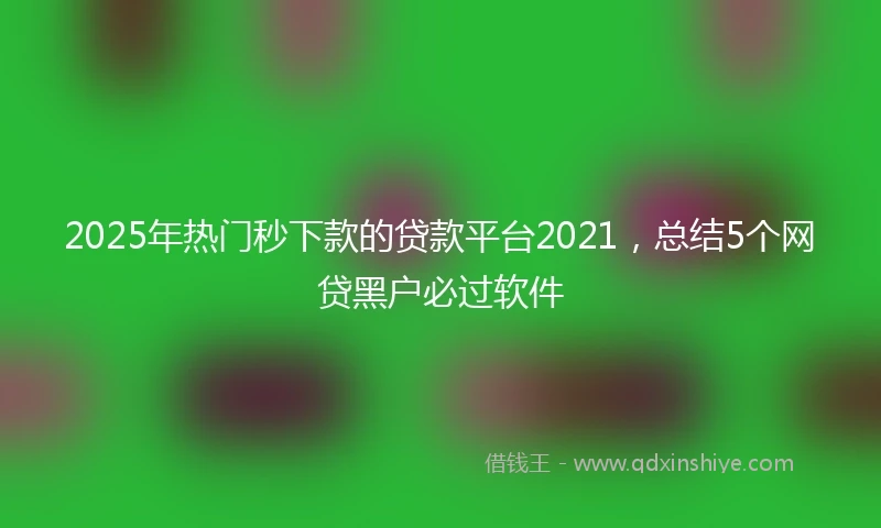 2025年热门秒下款的贷款平台2021，总结5个网贷黑户必过软件