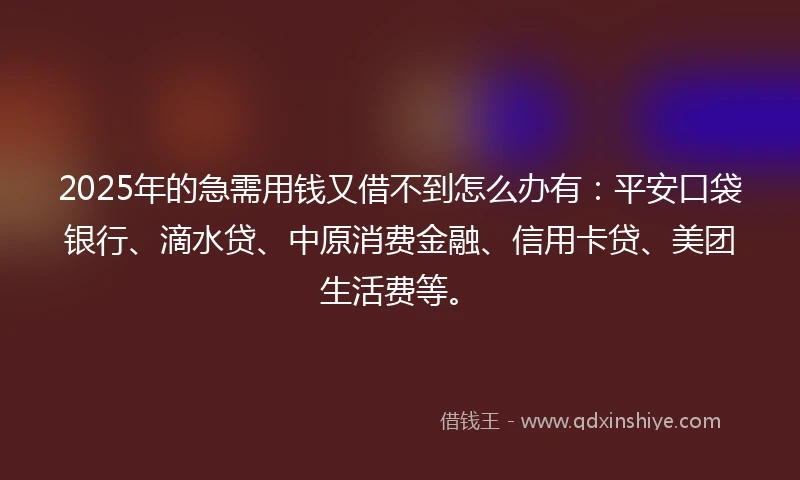 2025年的急需用钱又借不到怎么办有：平安口袋银行、滴水贷、中原消费金融、信用卡贷、美团生活费等。